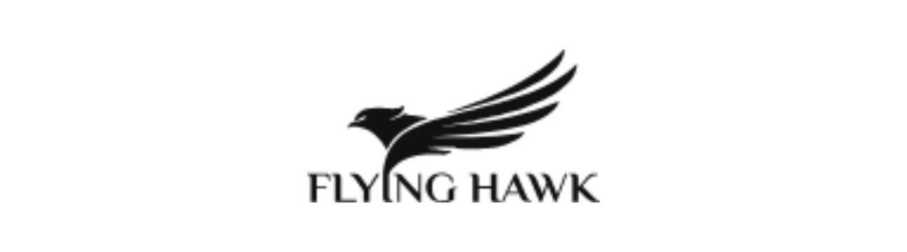Flying Hawk