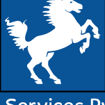 Cphr Services
