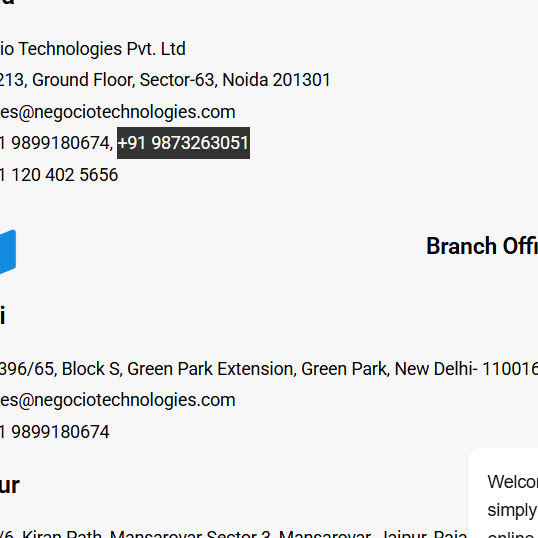 Negocio Technologies