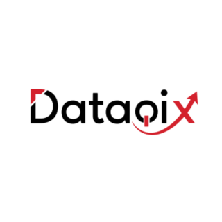 Data Qix