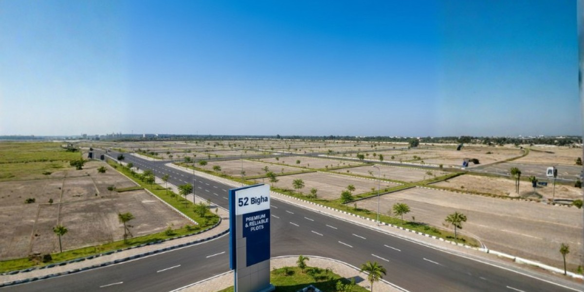 Prime Plots for Sale in Rohtak | Best Deals