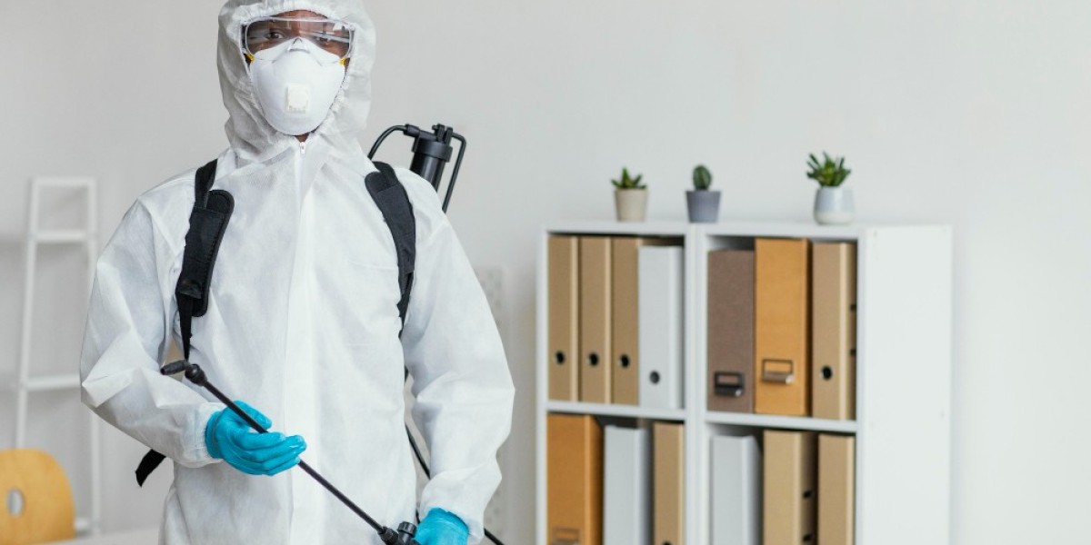 Top-Rated Spider Control Services in Gold Coast: What You Need to Know