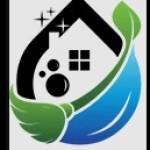 Cleaning professionals Silver Spring MD