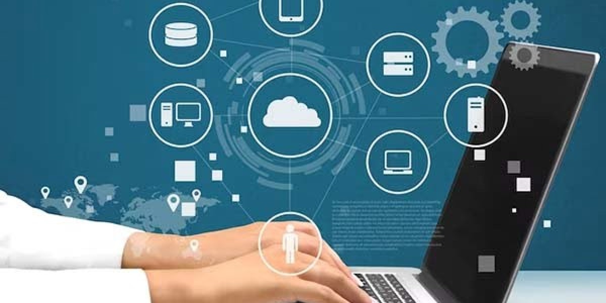 Affordable vs Premium: Finding the Best Web Development Company in Noida