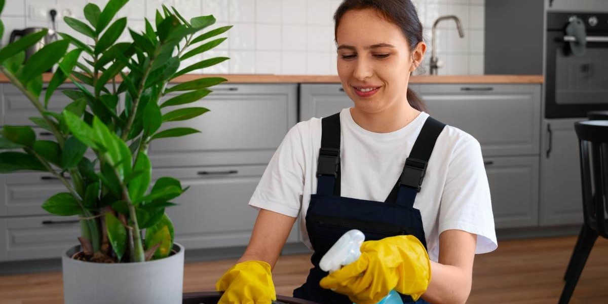 Green Cleaning Services: Eco-Friendly Cleaning for Healthier Living Spaces