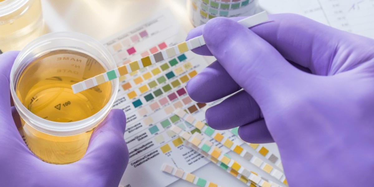 What Are Normal Candida Levels in the Body?