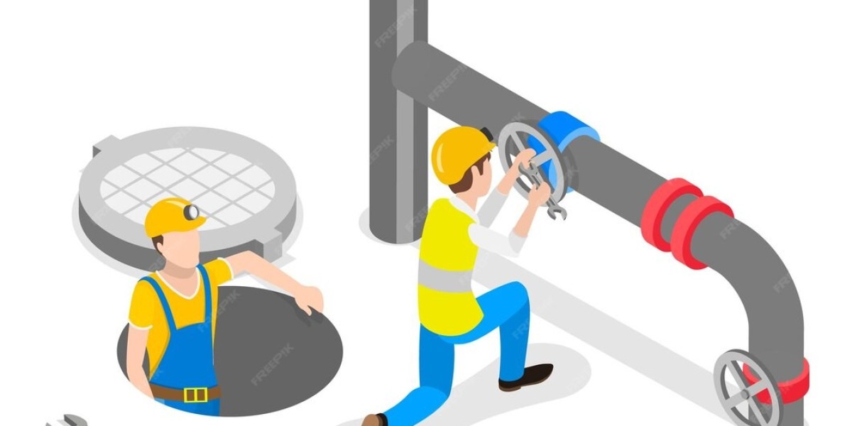 Reliable Sewer Repair Holly Springs: Expert Solutions for Every Home