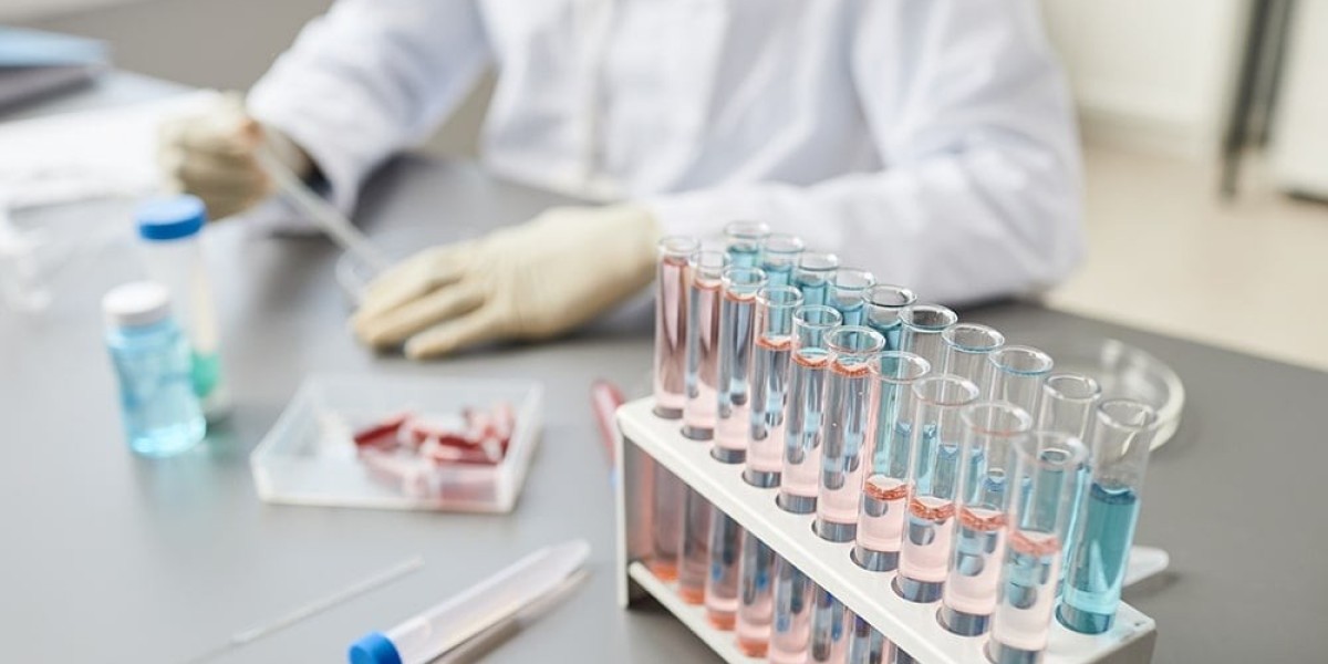 Candida Test for Digestive Problems: Is It Worth It?