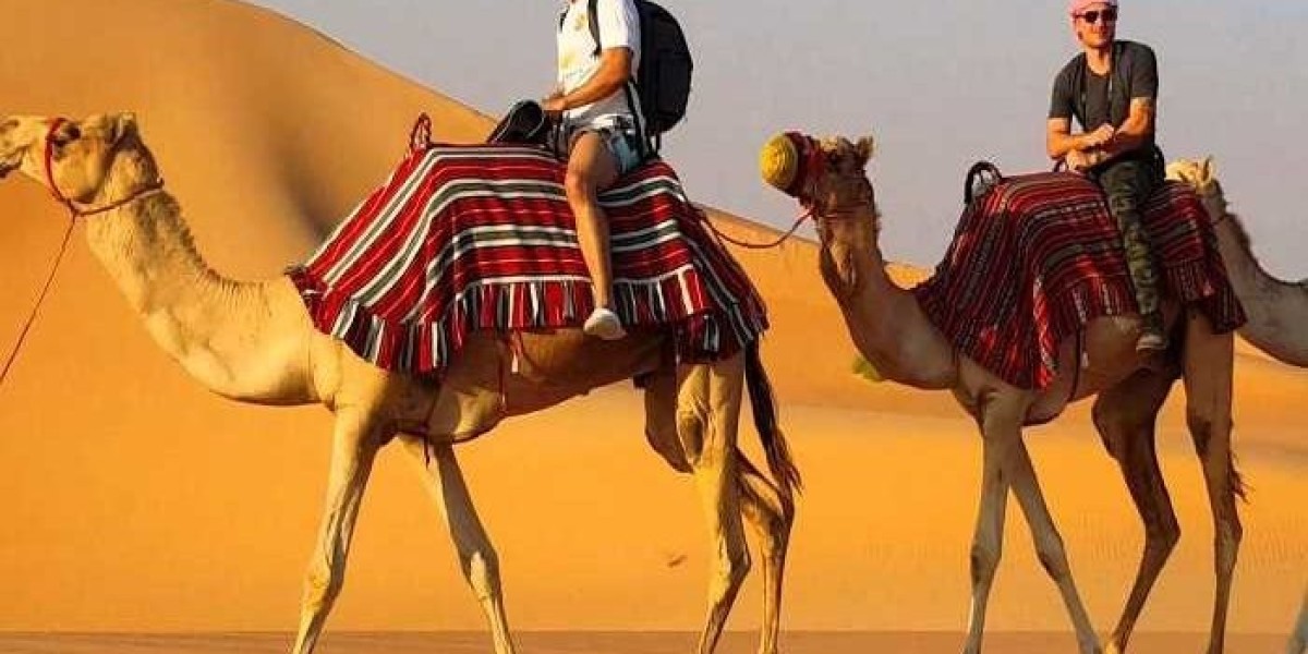 Discover the Thrill of Desert Safari Sharjah