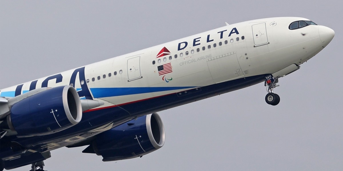 Guide to Delta Airlines SJC Terminal