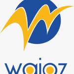 Waioz Consultancy Services