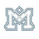 Manaviya Tech Solutions