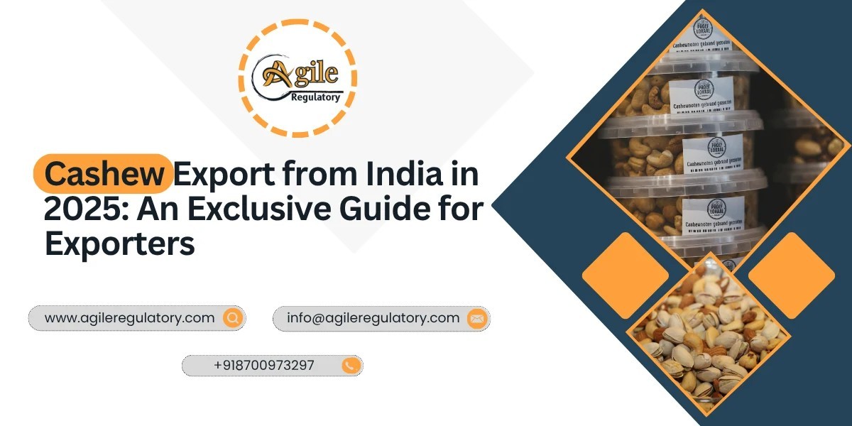 Cashew Export Promotion Council: Boosting Cashew Exports Worldwide