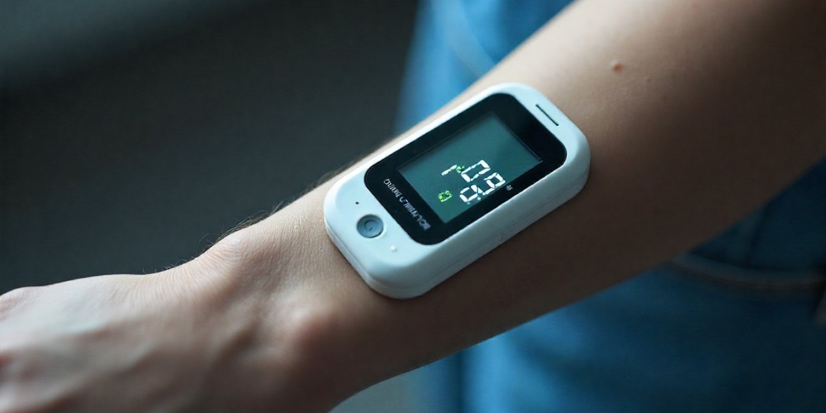 Global Non-Invasive Glucose Meter Market: Trends, Growth, and Forecast 2024-2033