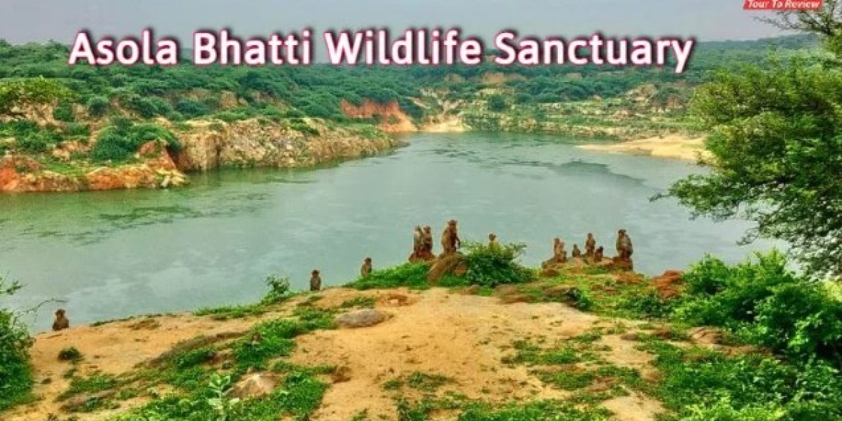 A Complete Guide to Exploring Asola Bhatti Wildlife Sanctuary