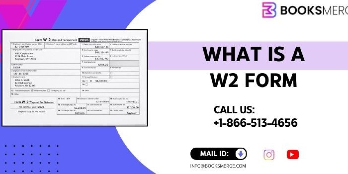 Confused About W-2 Forms? Learn Everything Fast