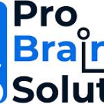 Wordpress Custom Development Services