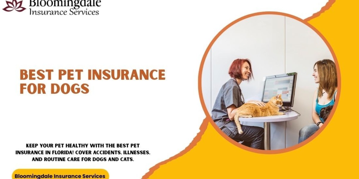 Best Pet Insurance for Dogs in Valrico, FL | Bloomingdale Insurance Services